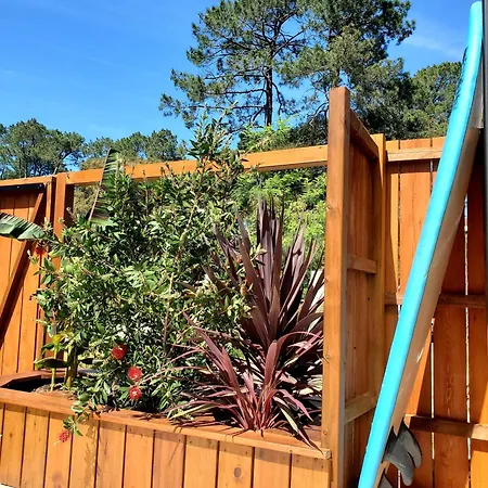 ヴィラ Luxury Bali In Hossegor 5 Stars- Pool & Petanque