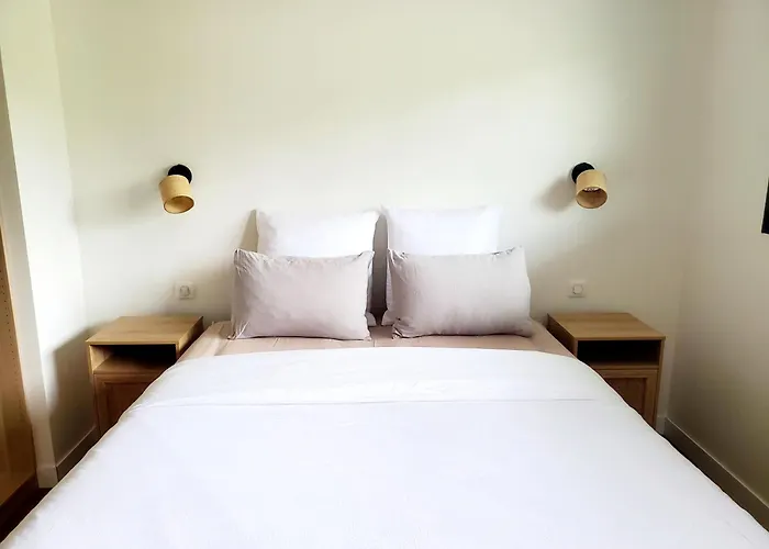 Luxury Bali In Hossegor 5 Stars- Pool & Petanque Villa